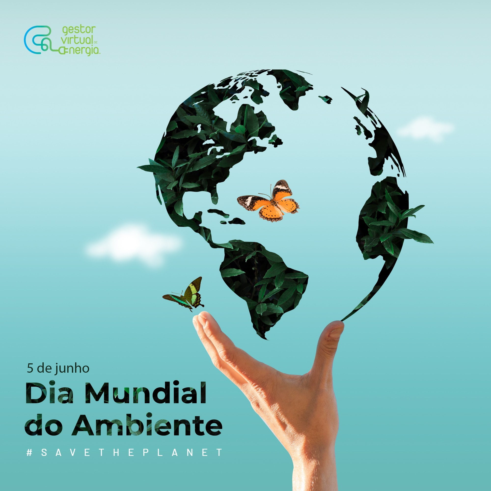 5 de Junho Dia Mundial do Ambiente